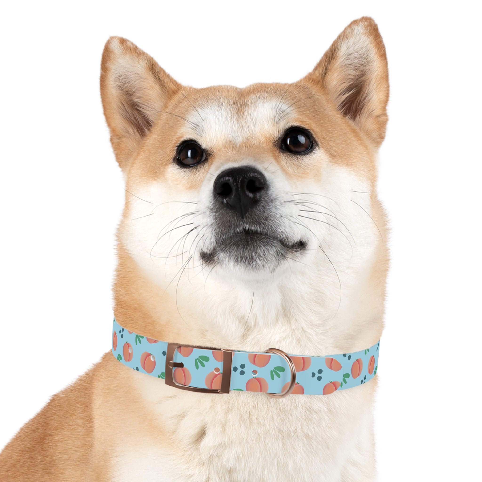 Dog Collar - Feelin Peachy