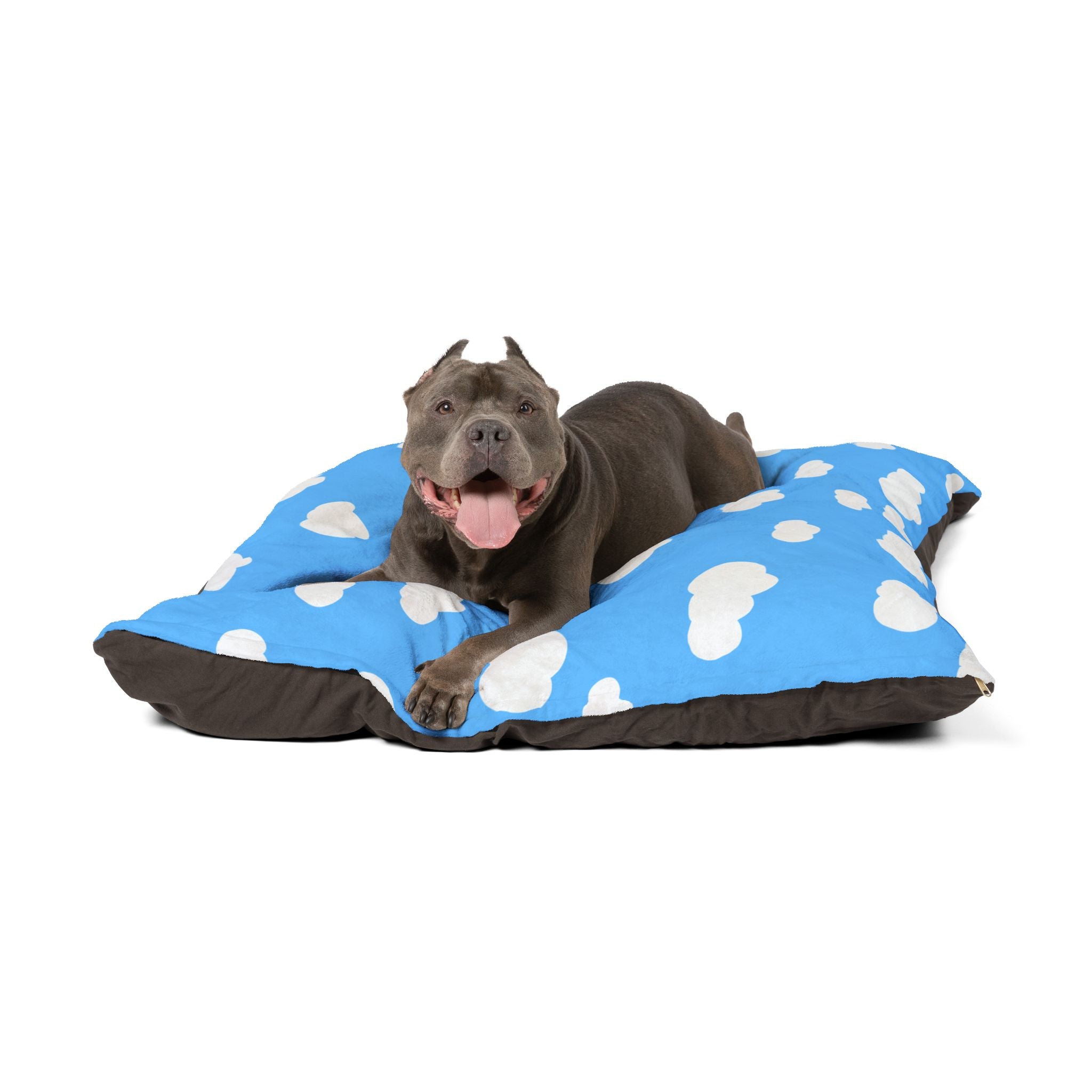 Pet Bed