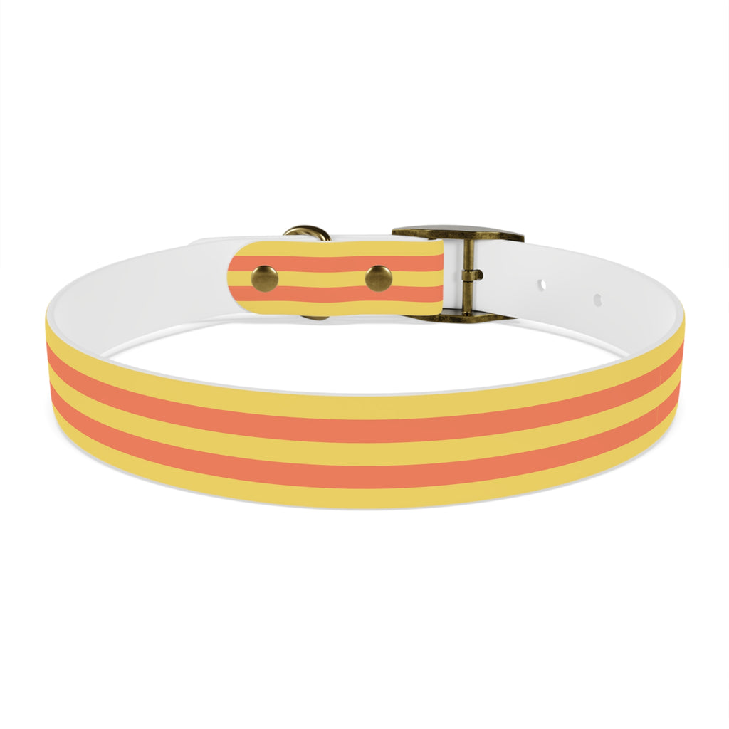 Dog Collar