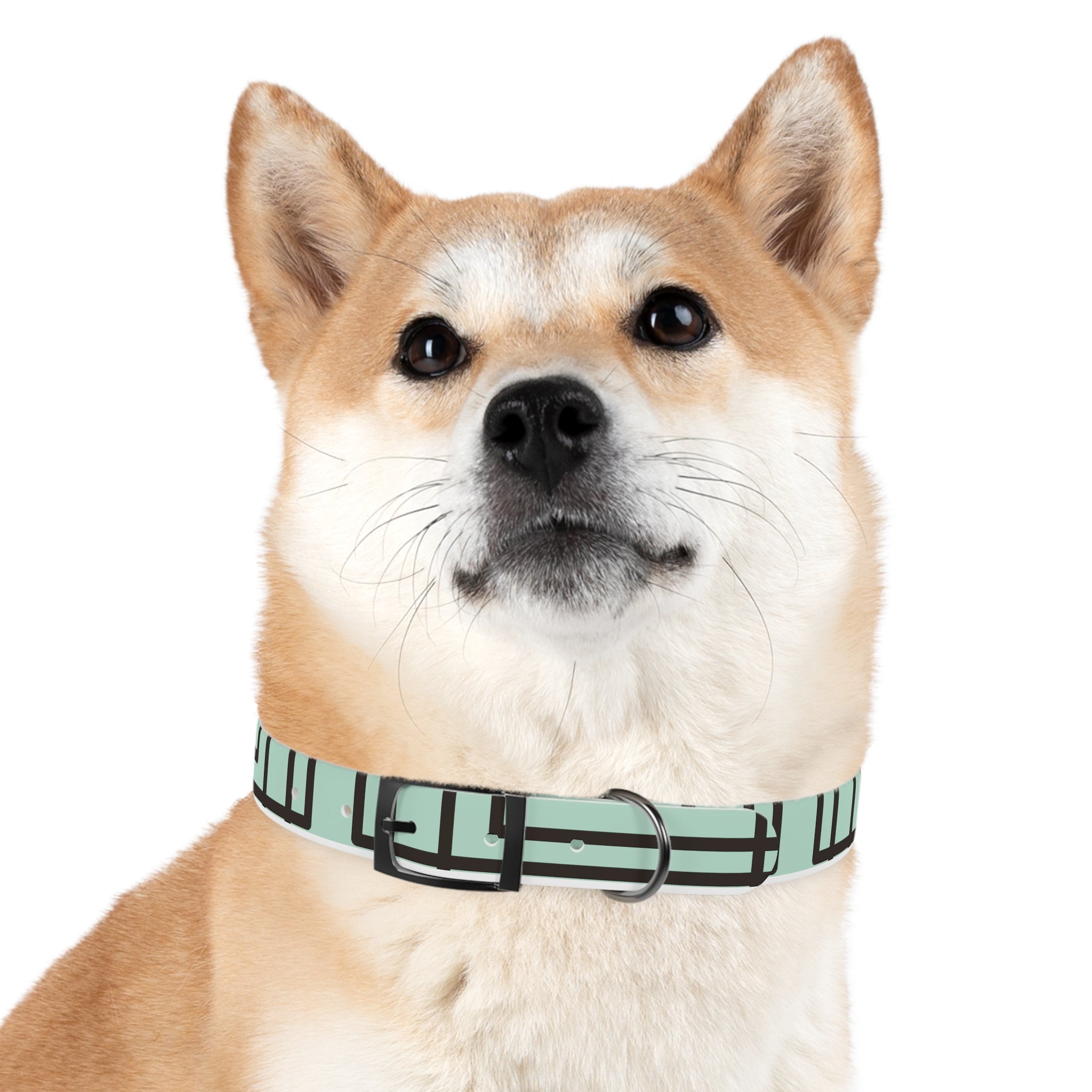 Dog Collar- Mint Madness
