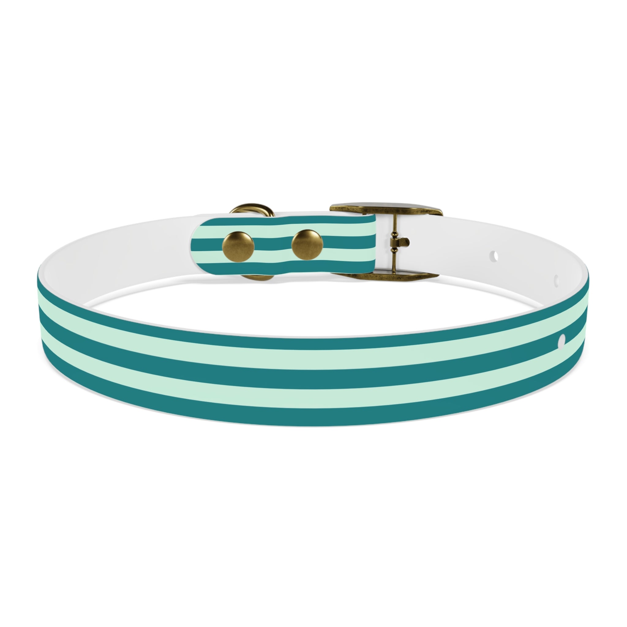 Dog Collar
