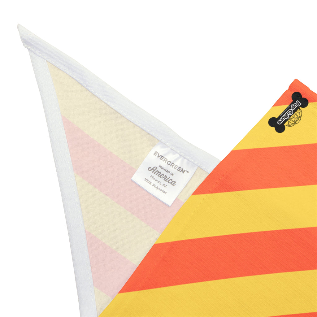 Pet Bandana