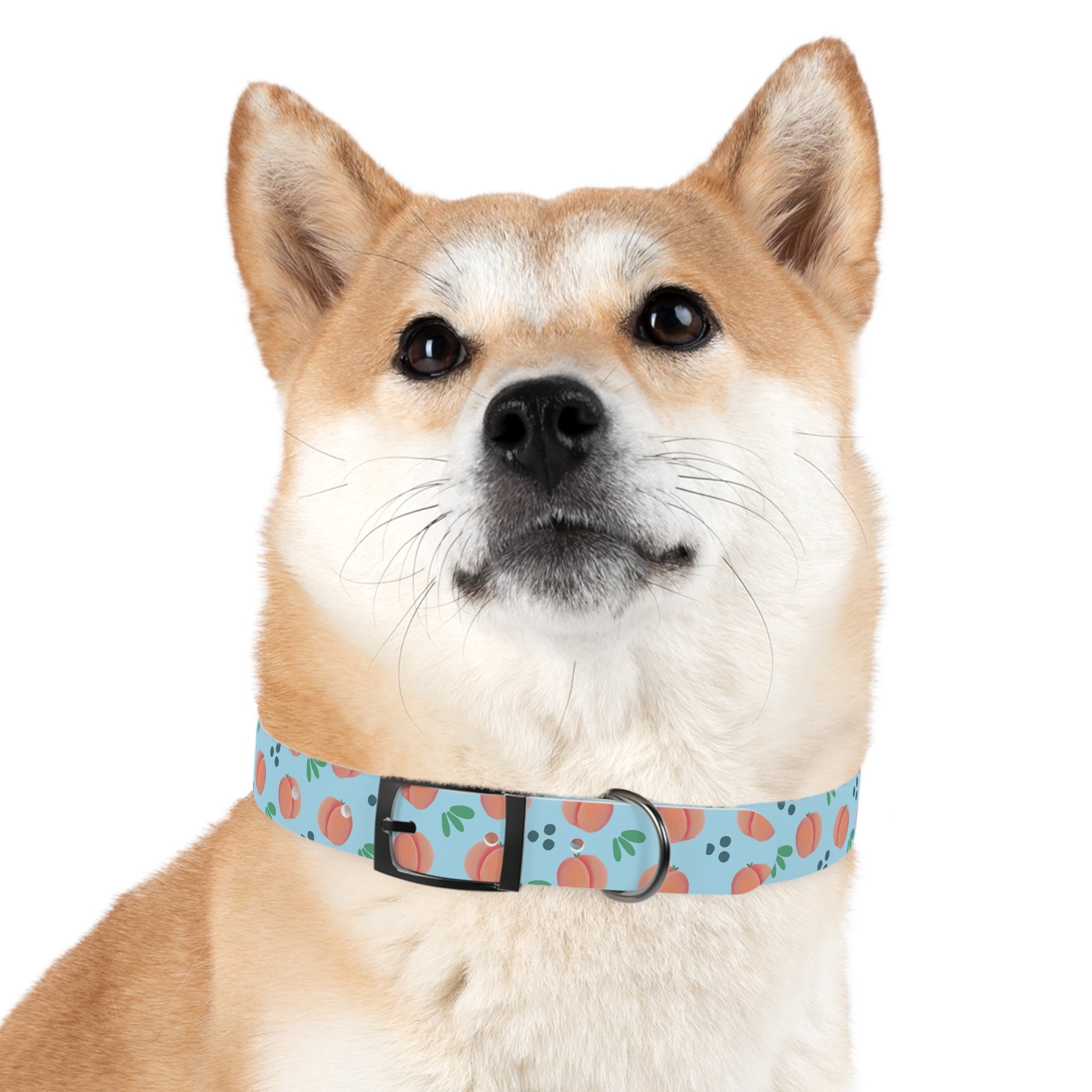 Dog Collar - Feelin Peachy