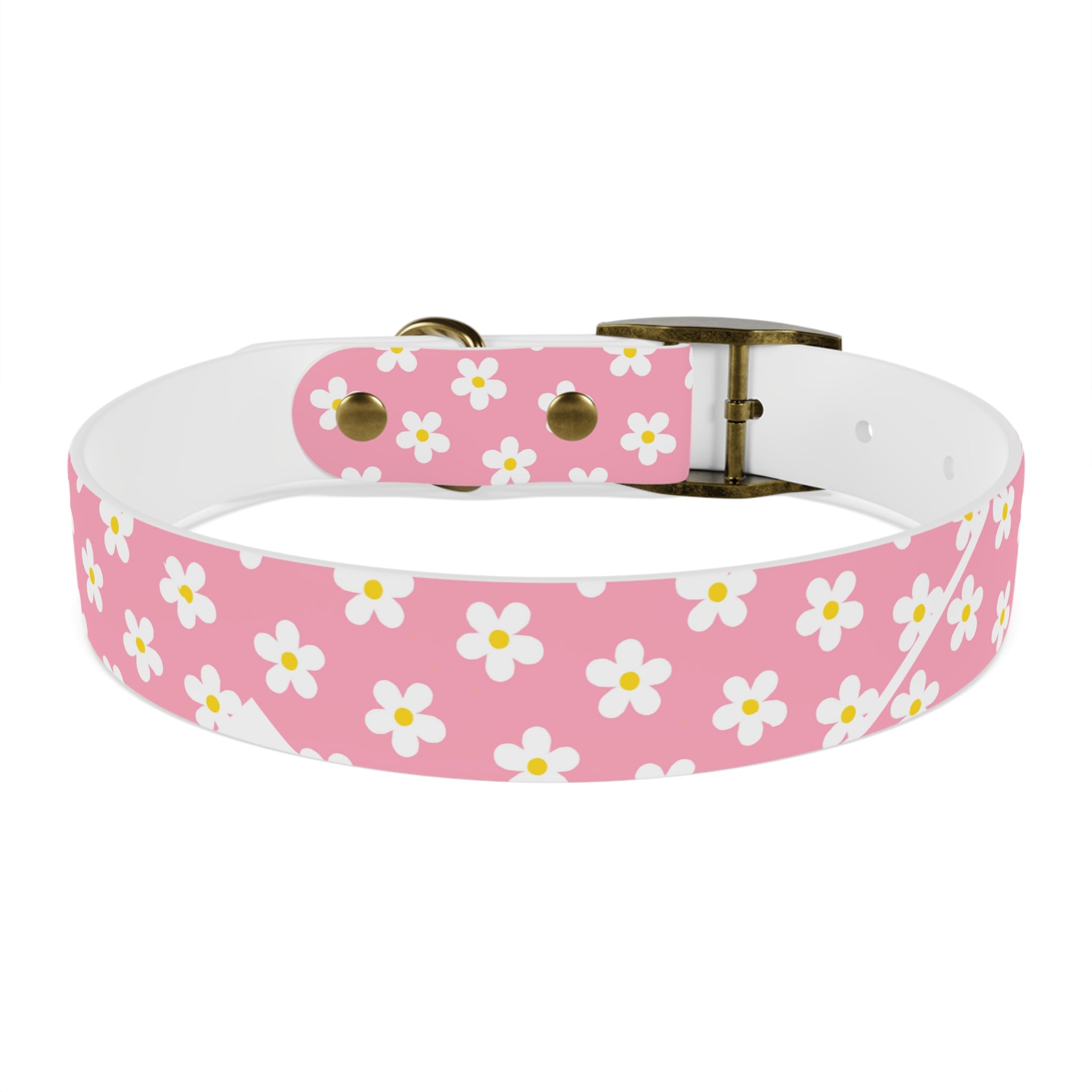 Dog Collar - Daisy Collection