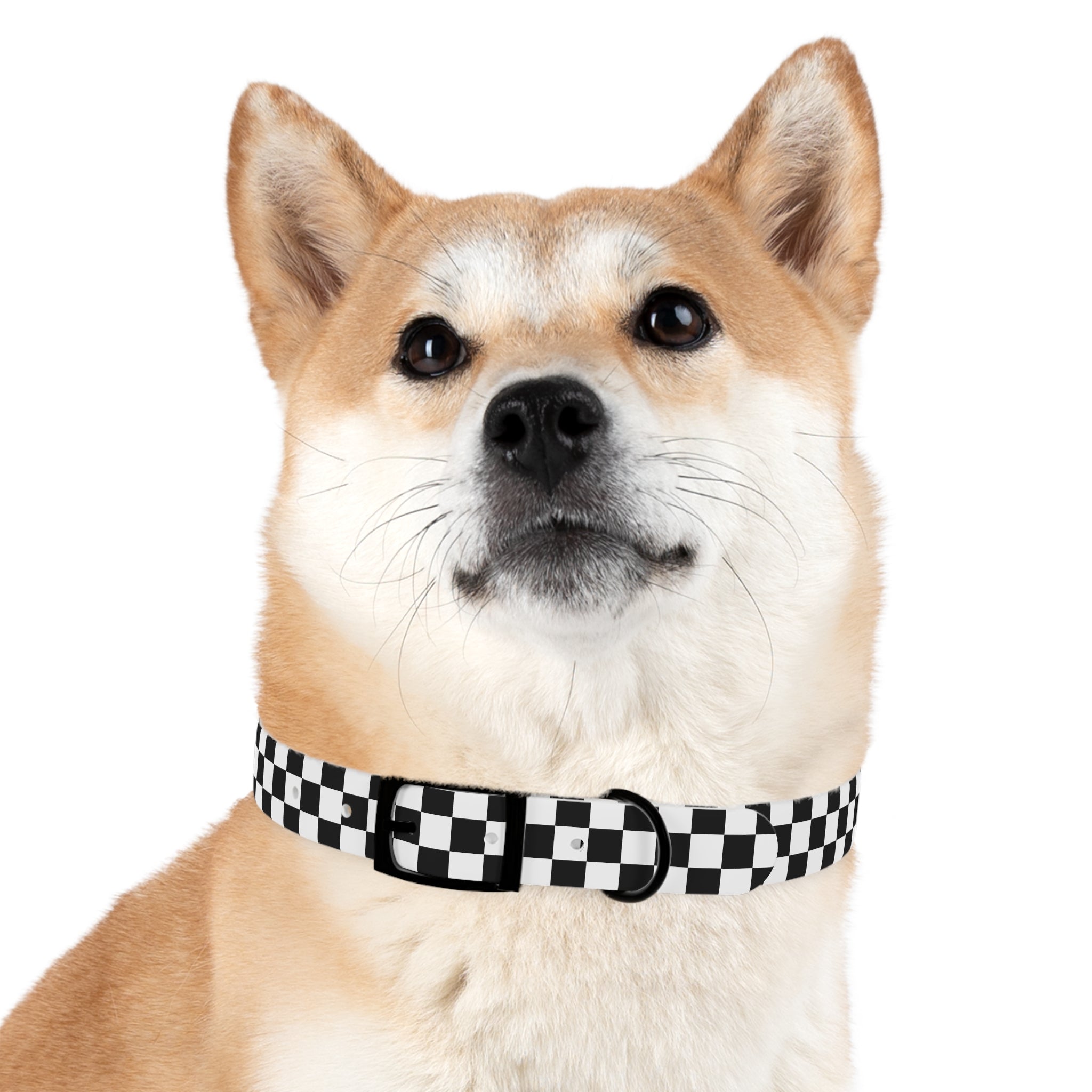 Checkered Dog Collar
