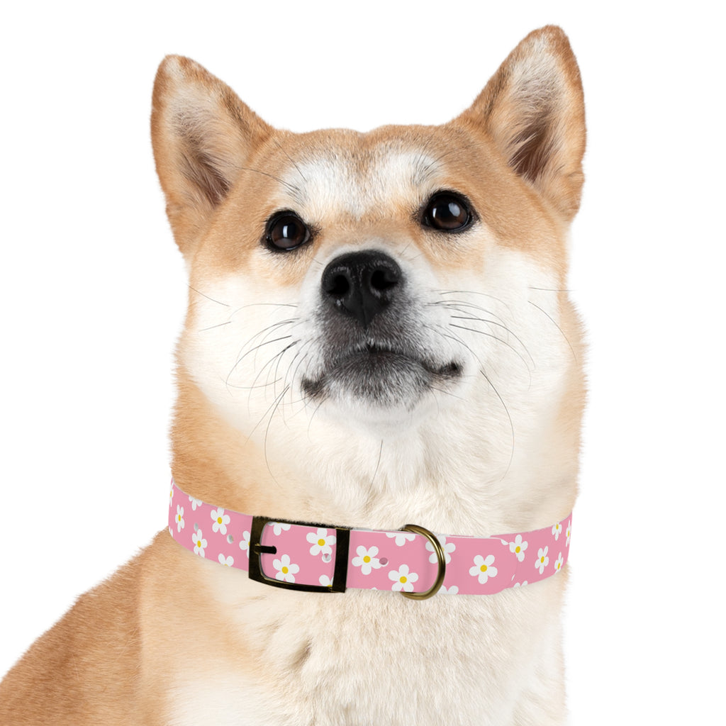 Dog Collar - Daisy Collection