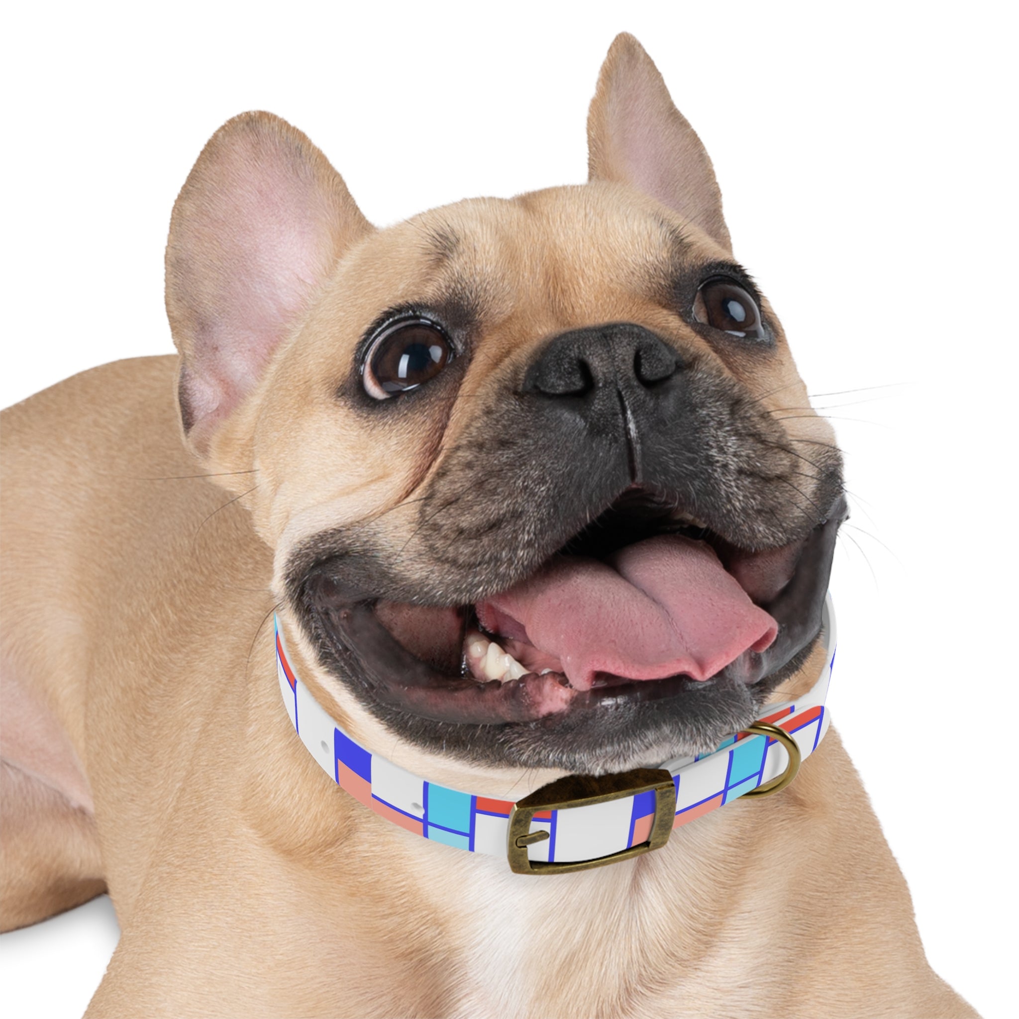 Dog Collar - Mosaic Collection