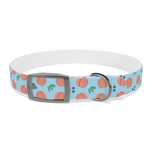 Dog Collar - Feelin Peachy