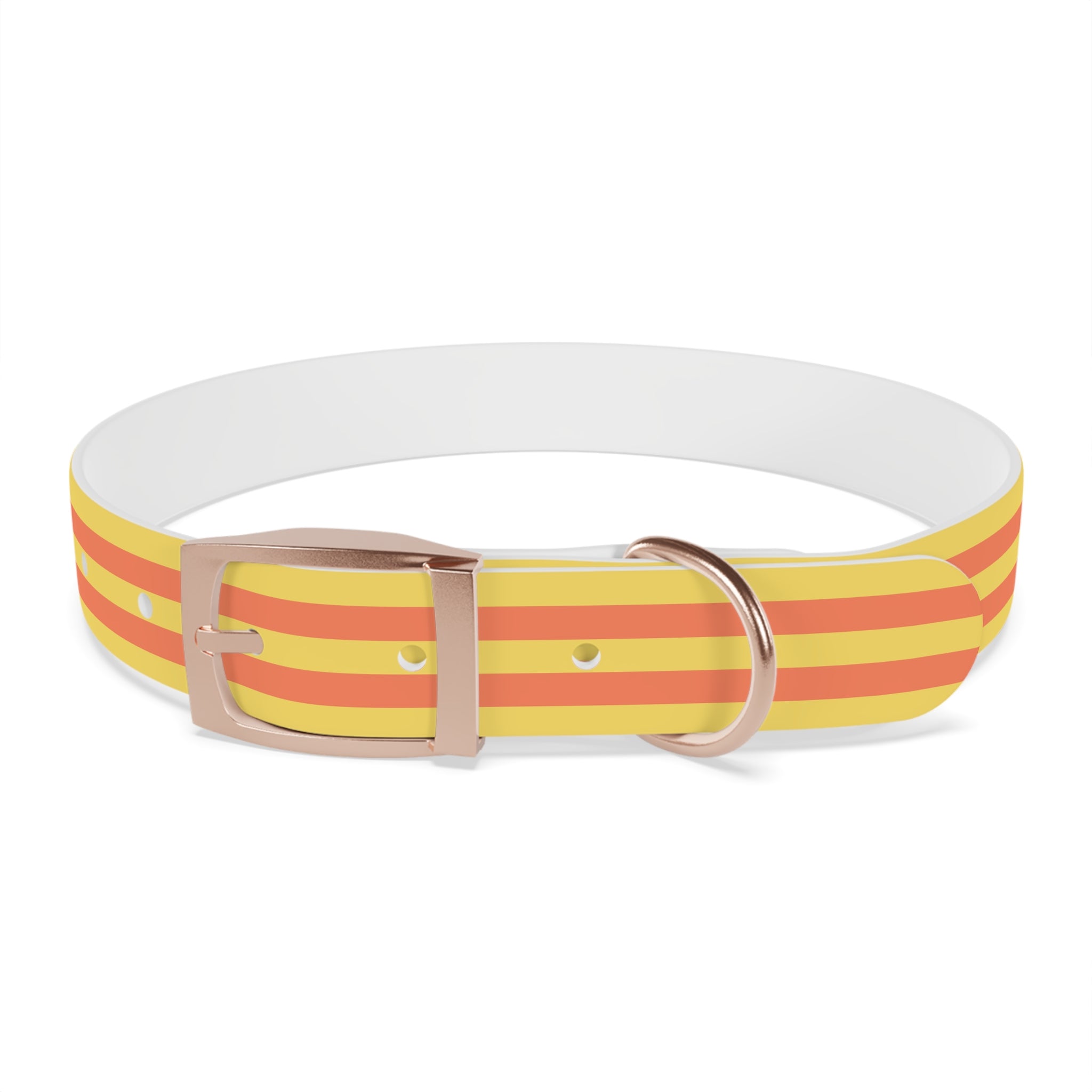 Dog Collar