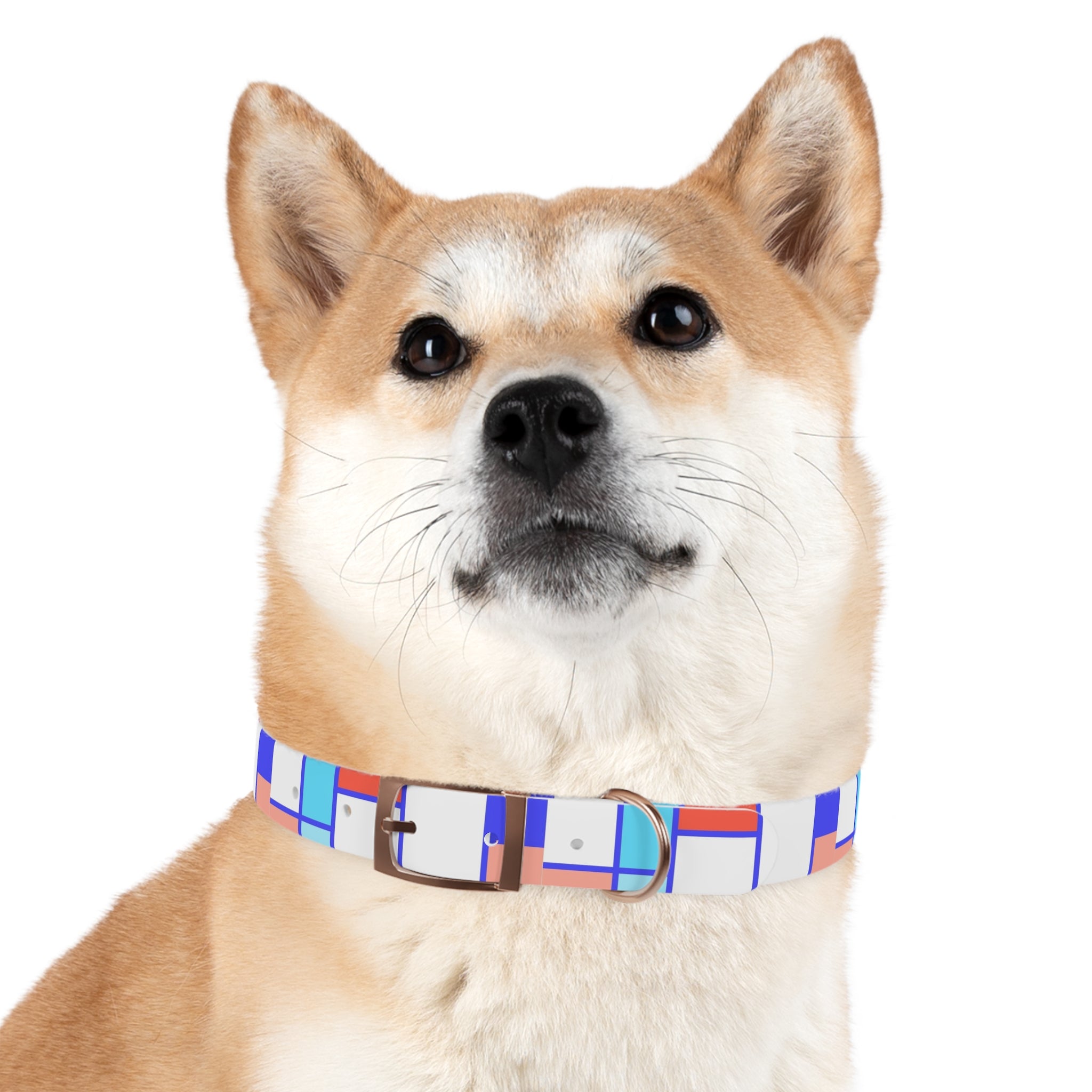 Dog Collar - Mosaic Collection