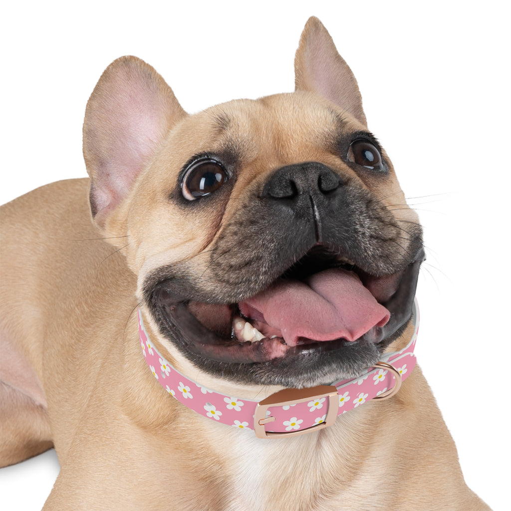 Dog Collar - Daisy Collection