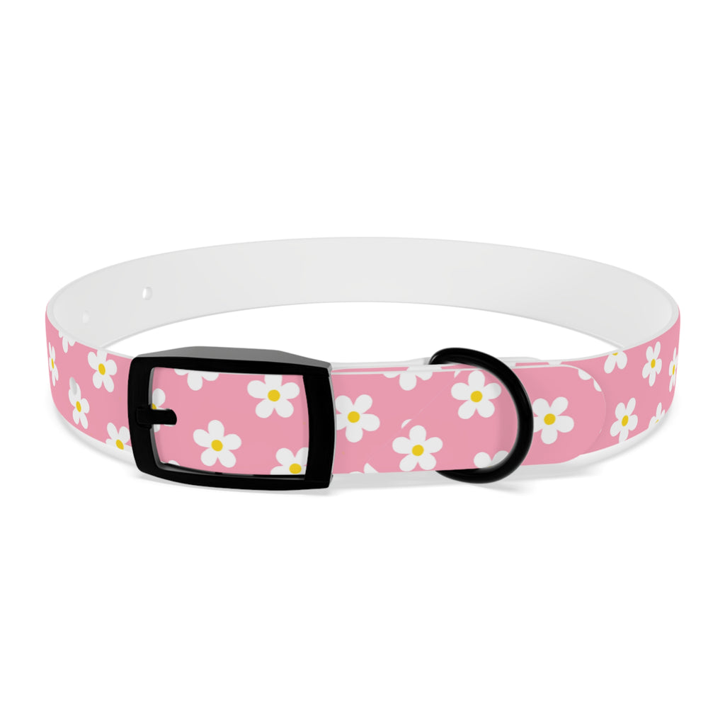 Dog Collar - Daisy Collection