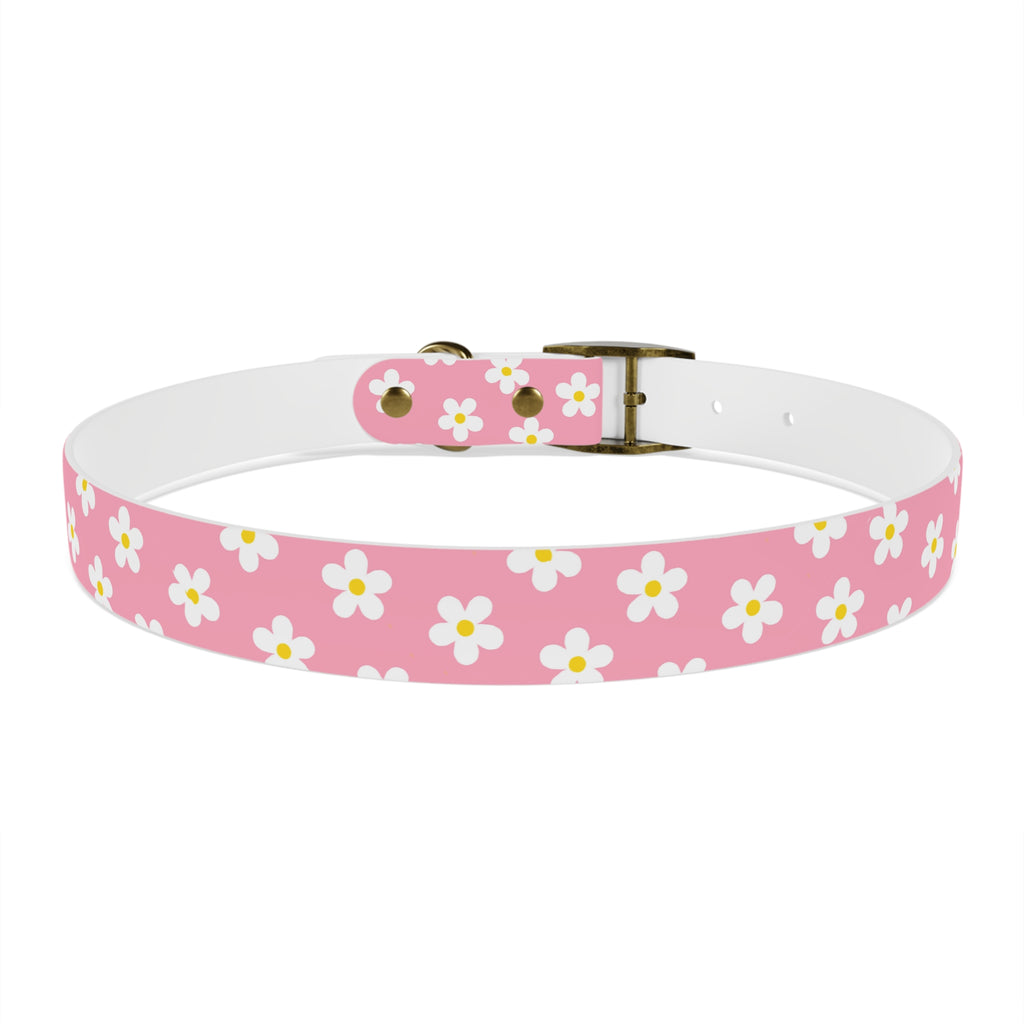 Dog Collar - Daisy Collection