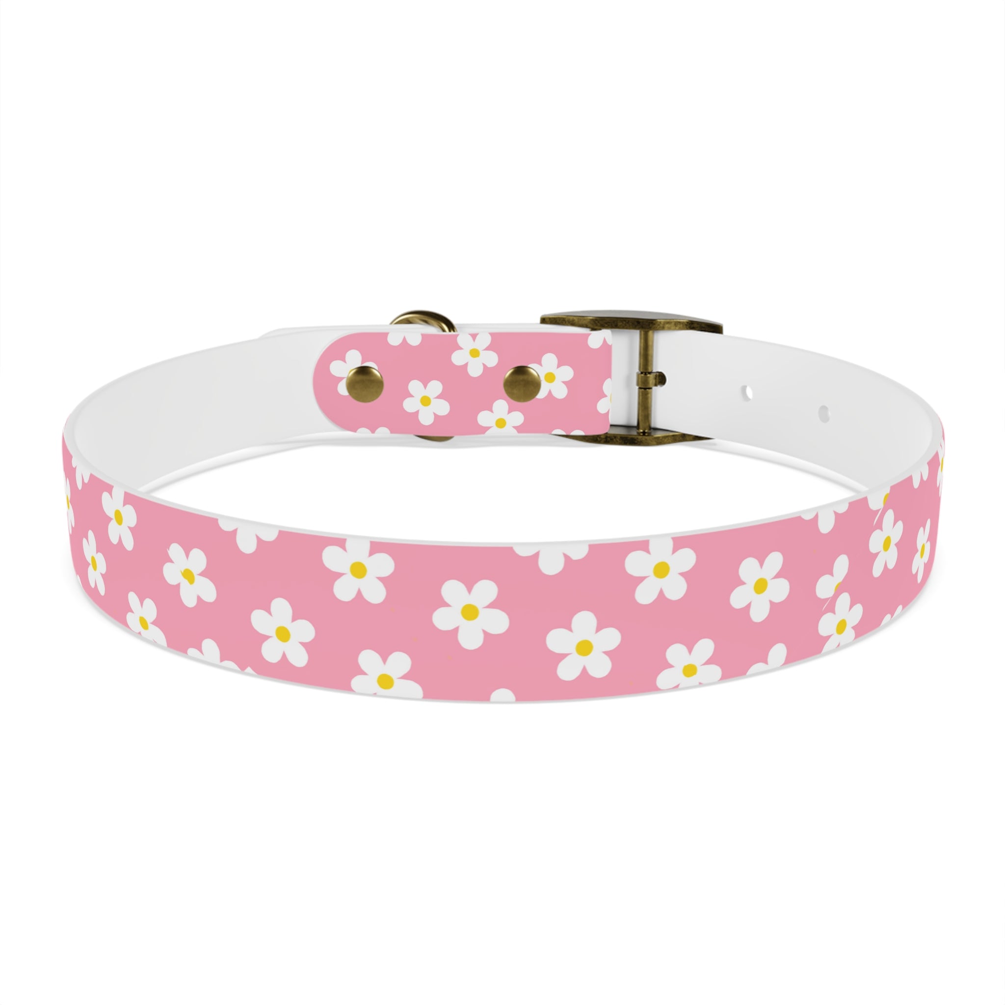 Dog Collar - Daisy Collection
