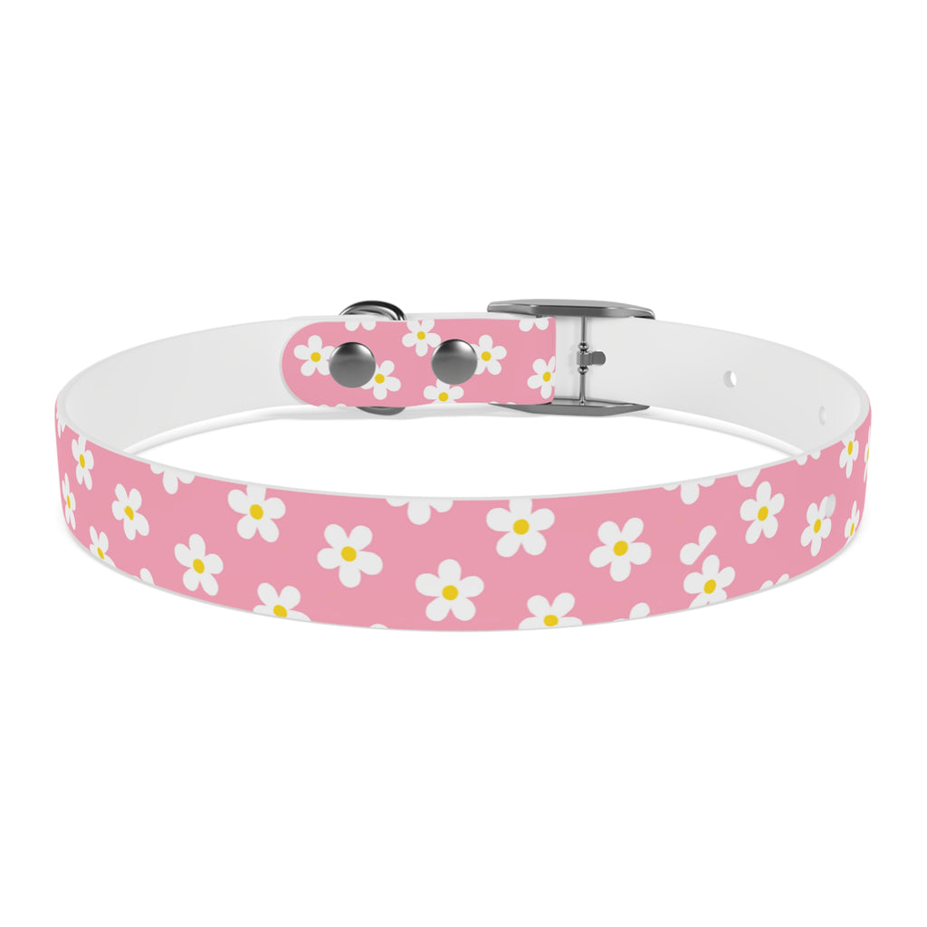 Dog Collar - Daisy Collection