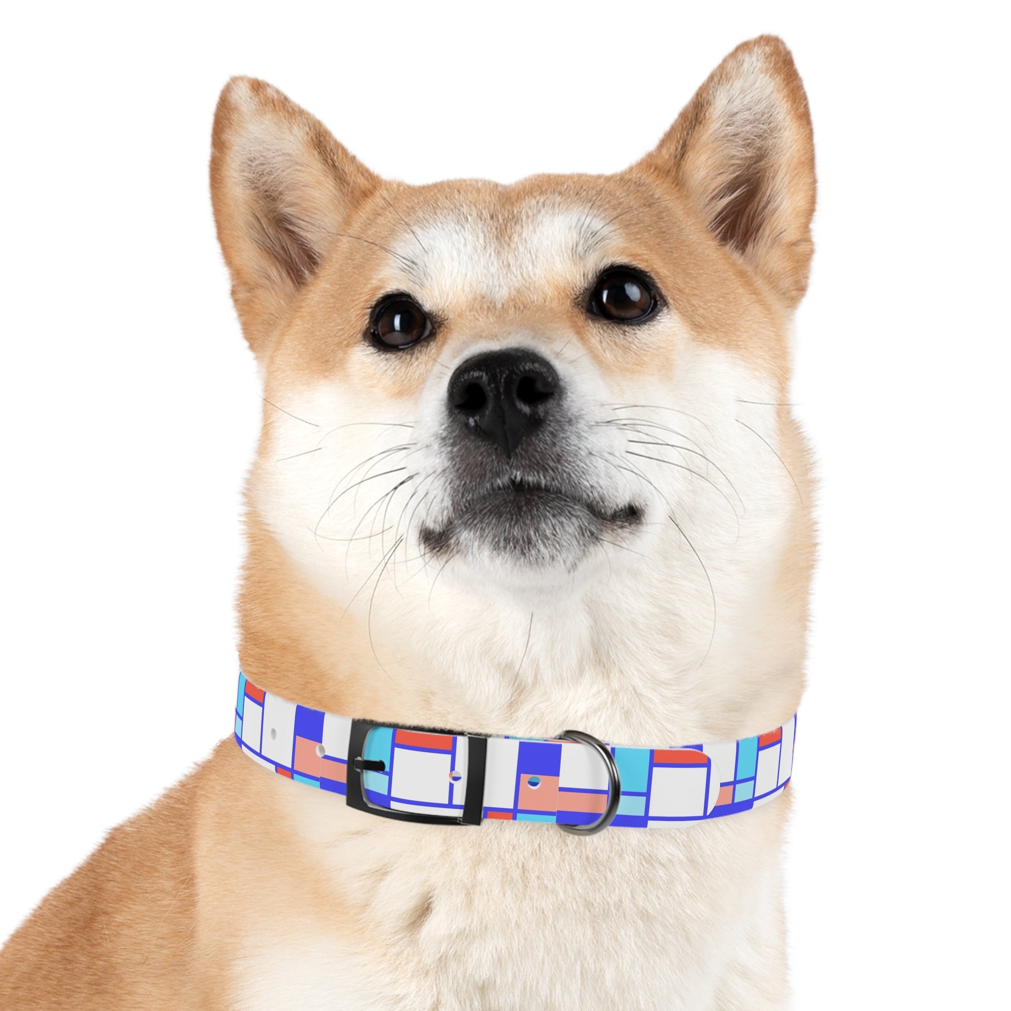 Dog Collar - Mosaic Collection