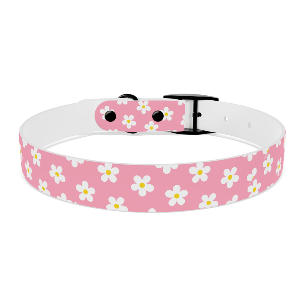 Dog Collar - Daisy Collection