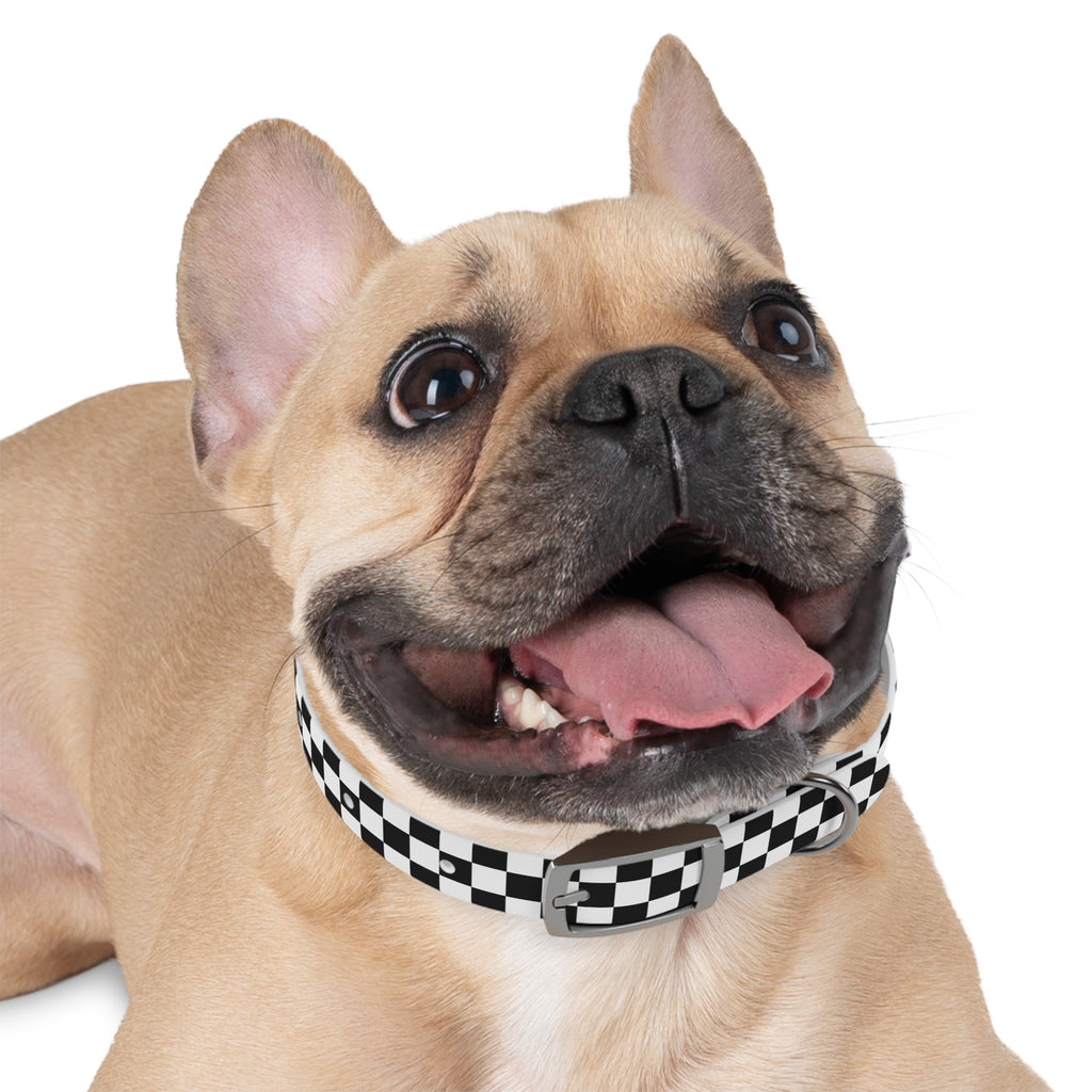Checkered Dog Collar