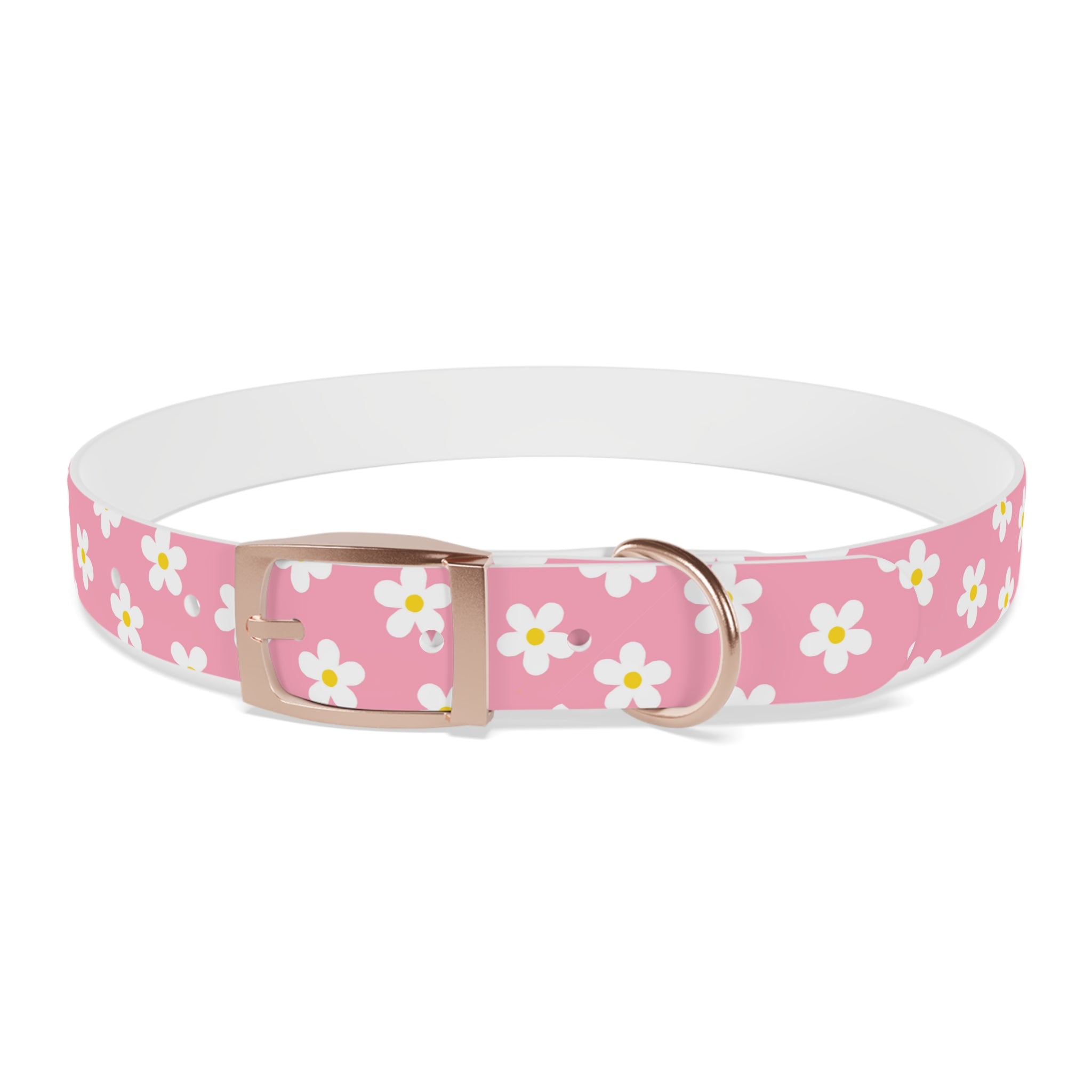 Dog Collar - Daisy Collection