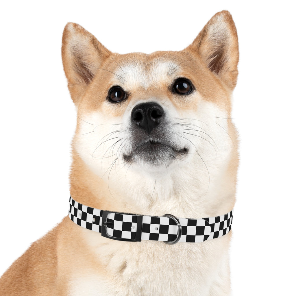 Checkered Dog Collar