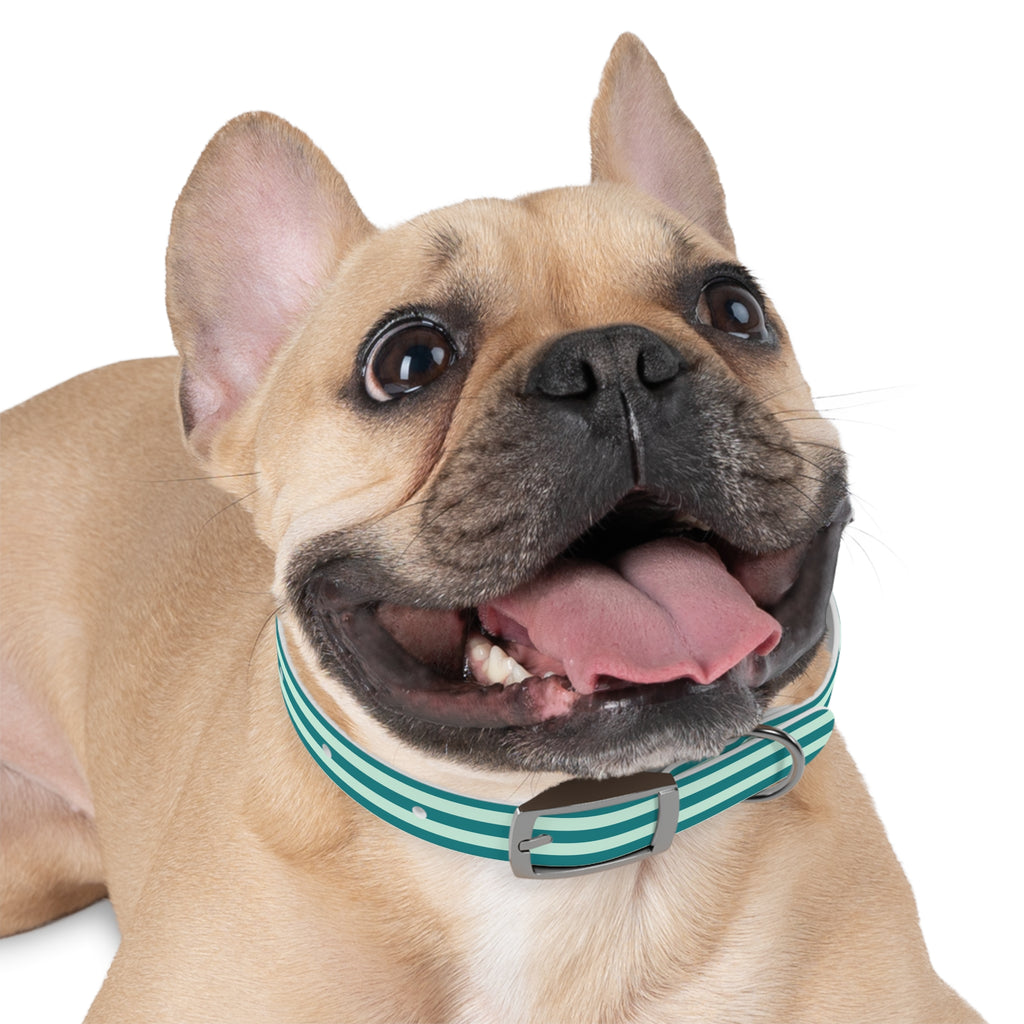 Dog Collar
