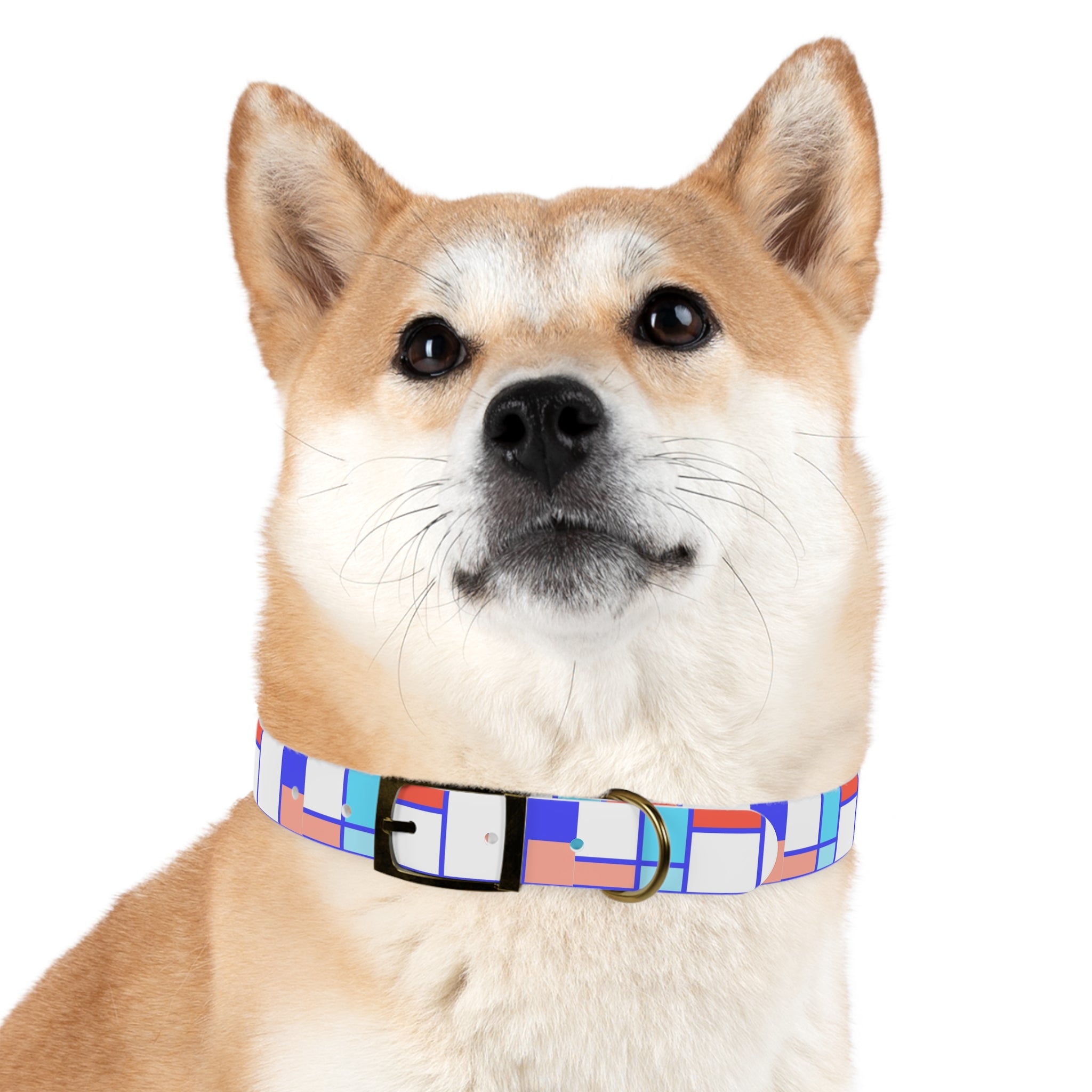 Dog Collar - Mosaic Collection