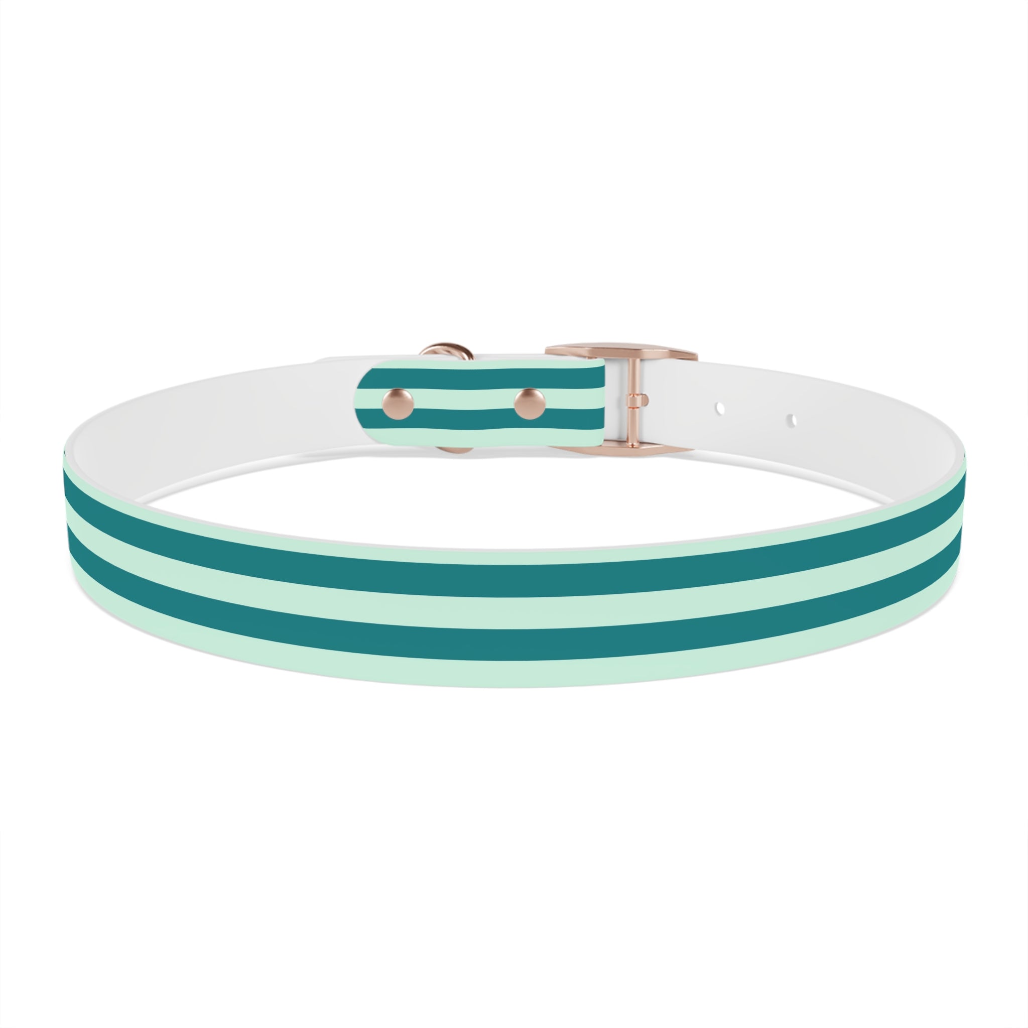 Dog Collar