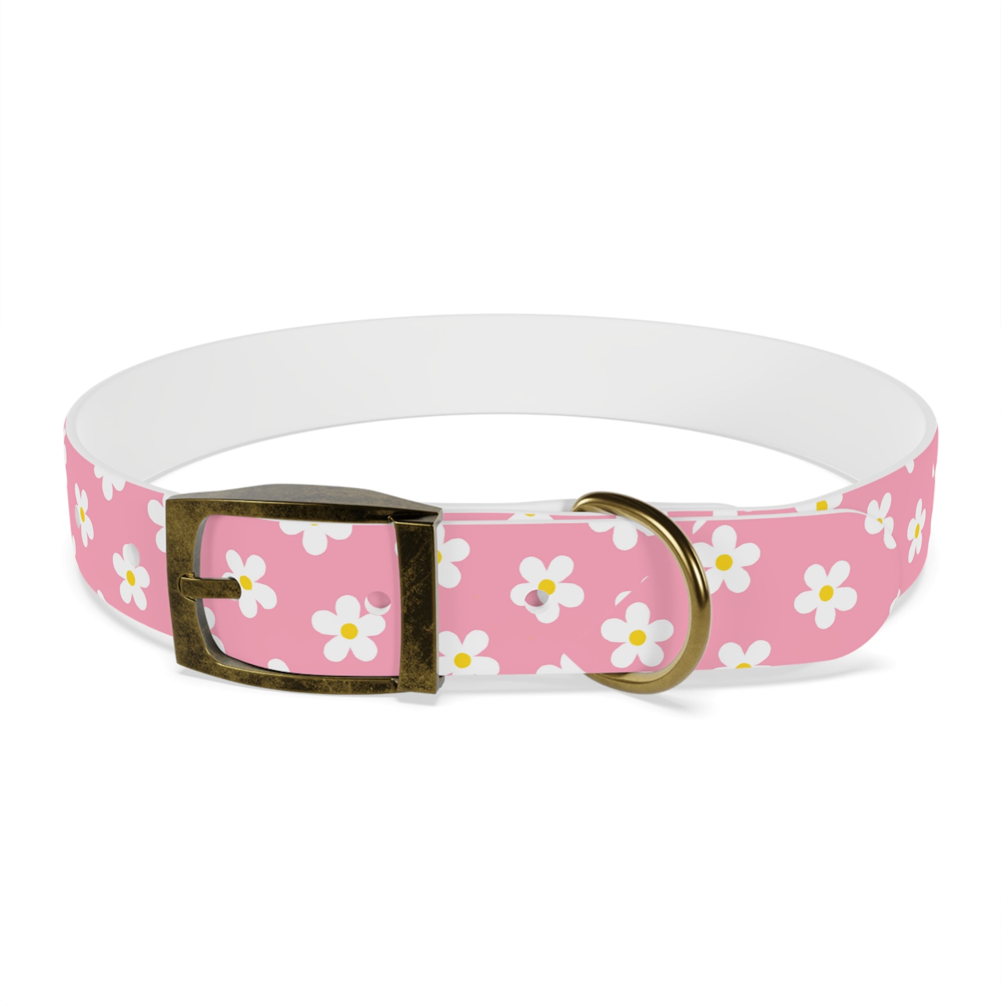 Dog Collar - Daisy Collection