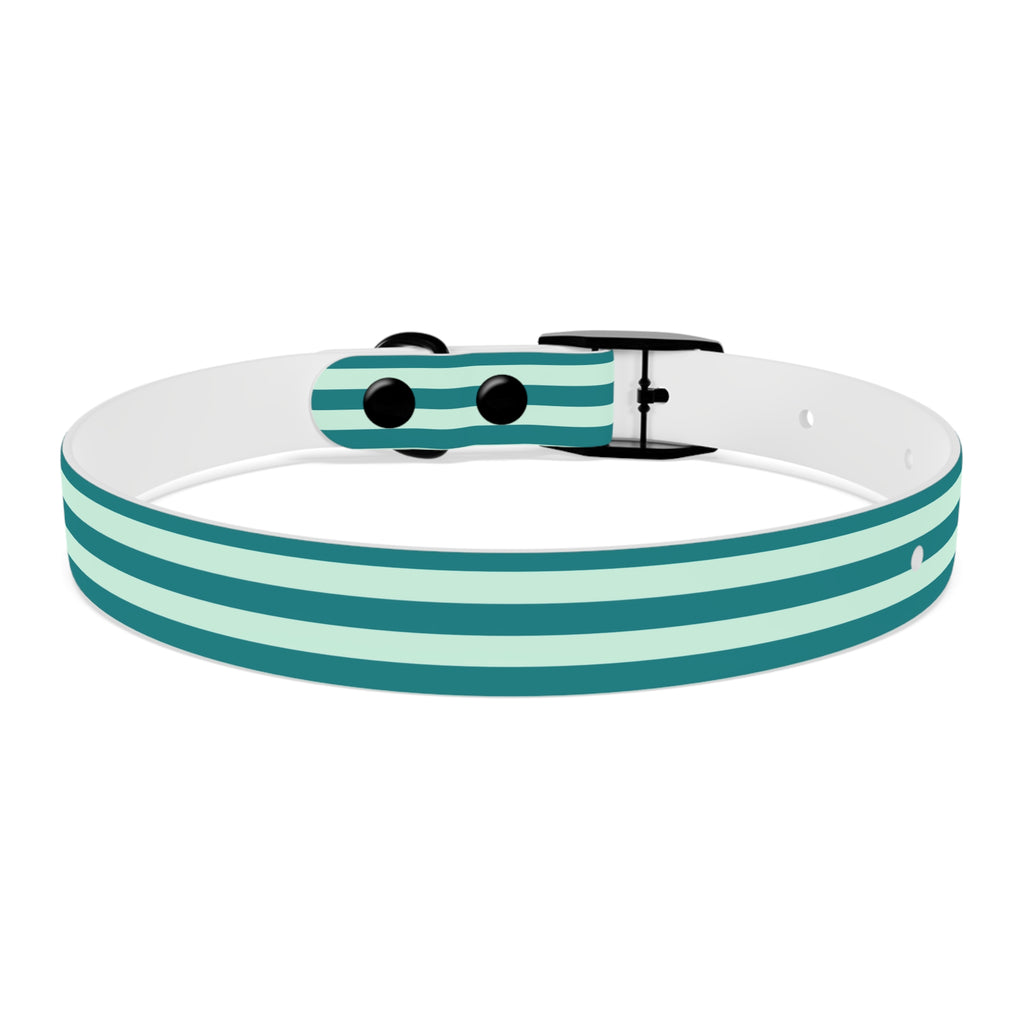Dog Collar