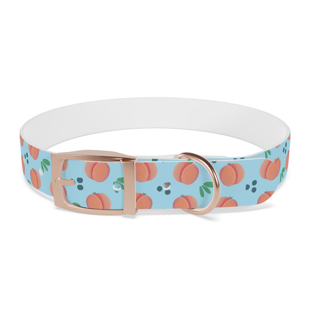 Dog Collar - Feelin Peachy