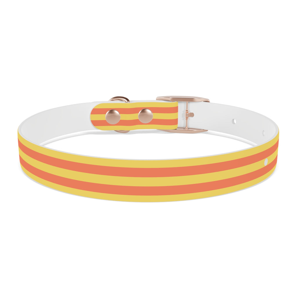 Dog Collar