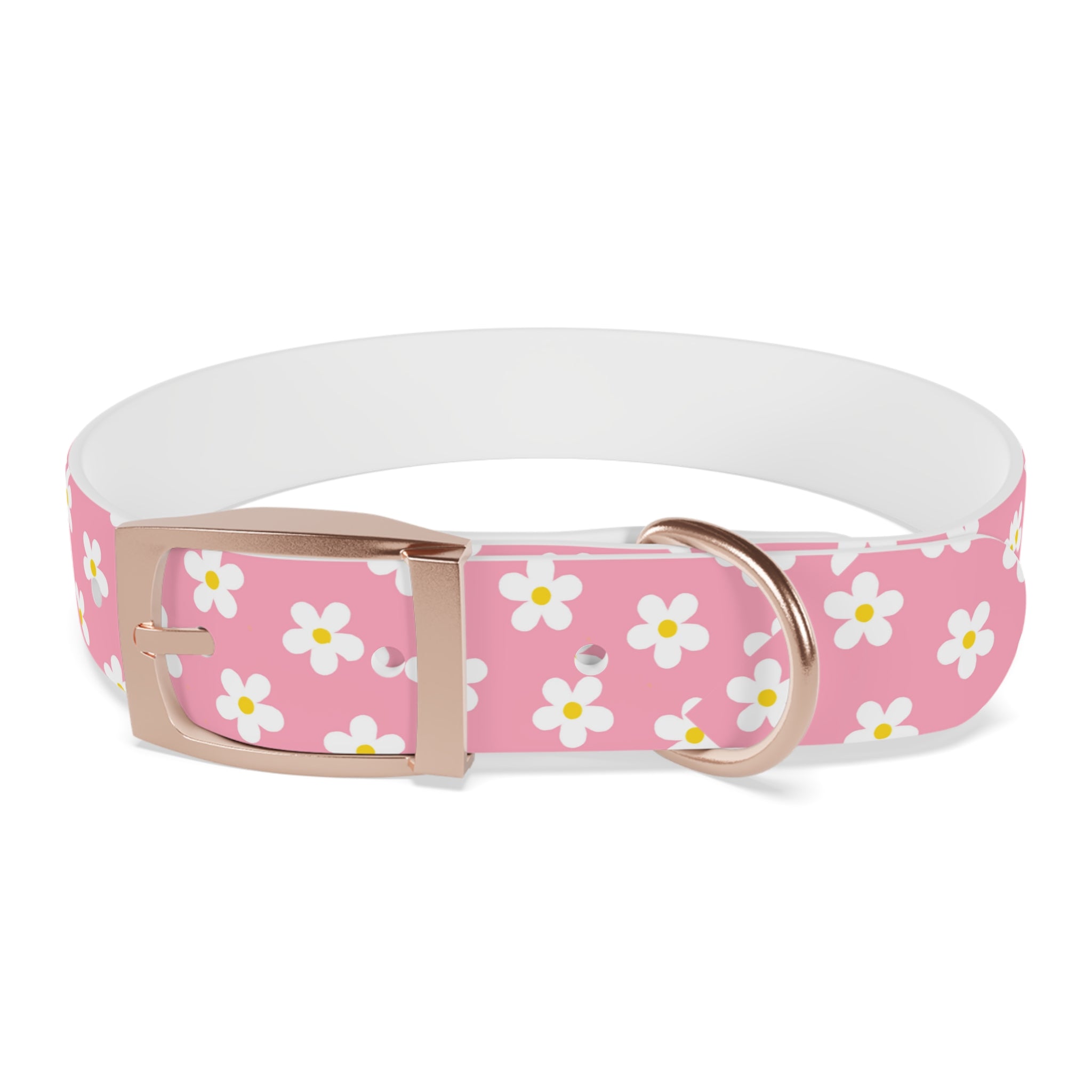 Dog Collar - Daisy Collection