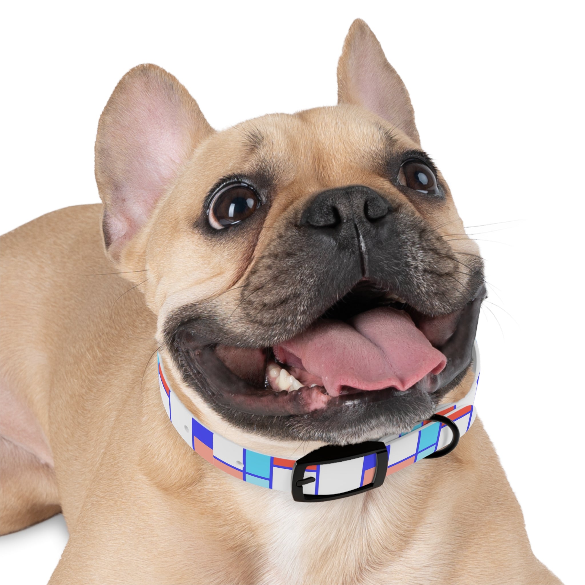 Dog Collar - Mosaic Collection