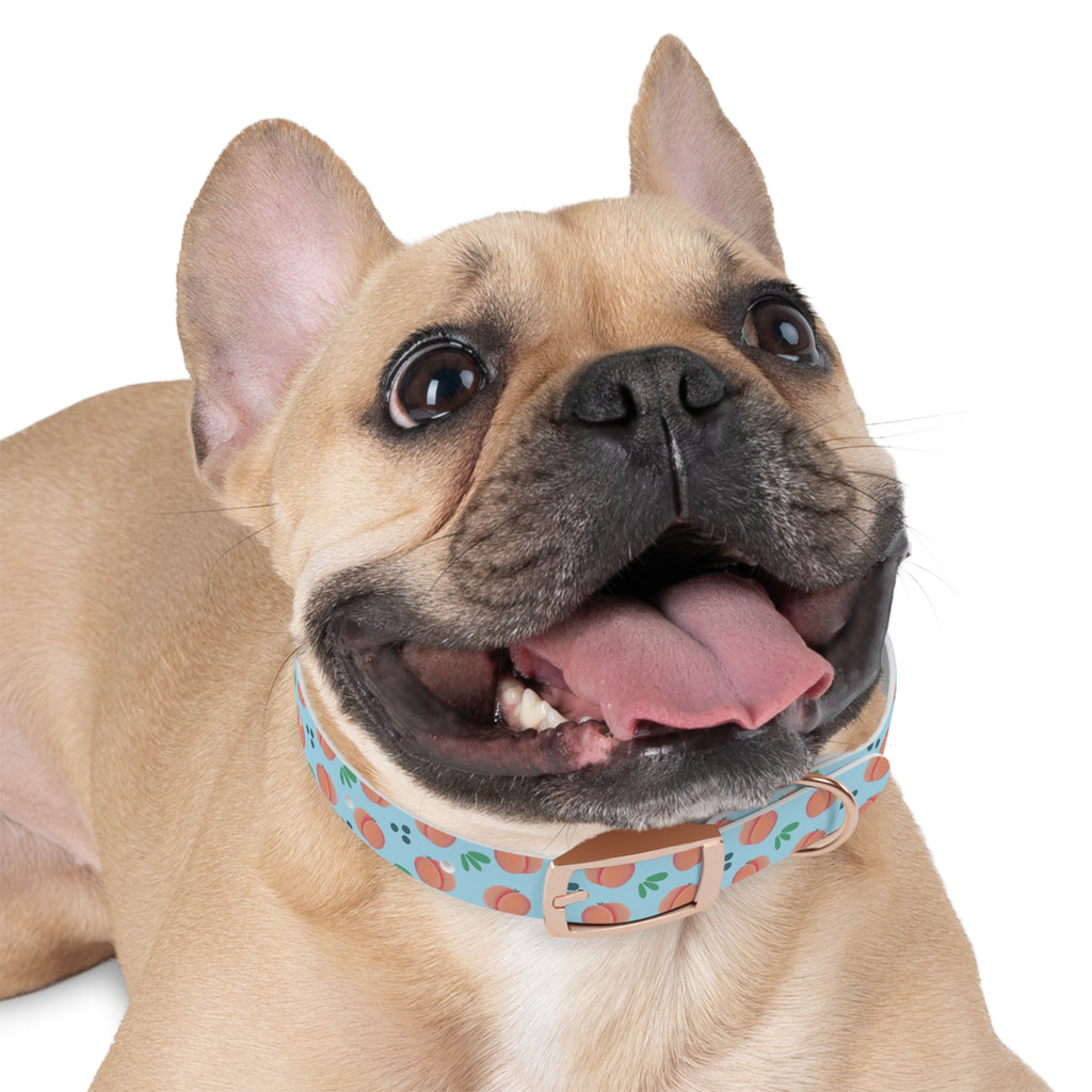 Dog Collar - Feelin Peachy