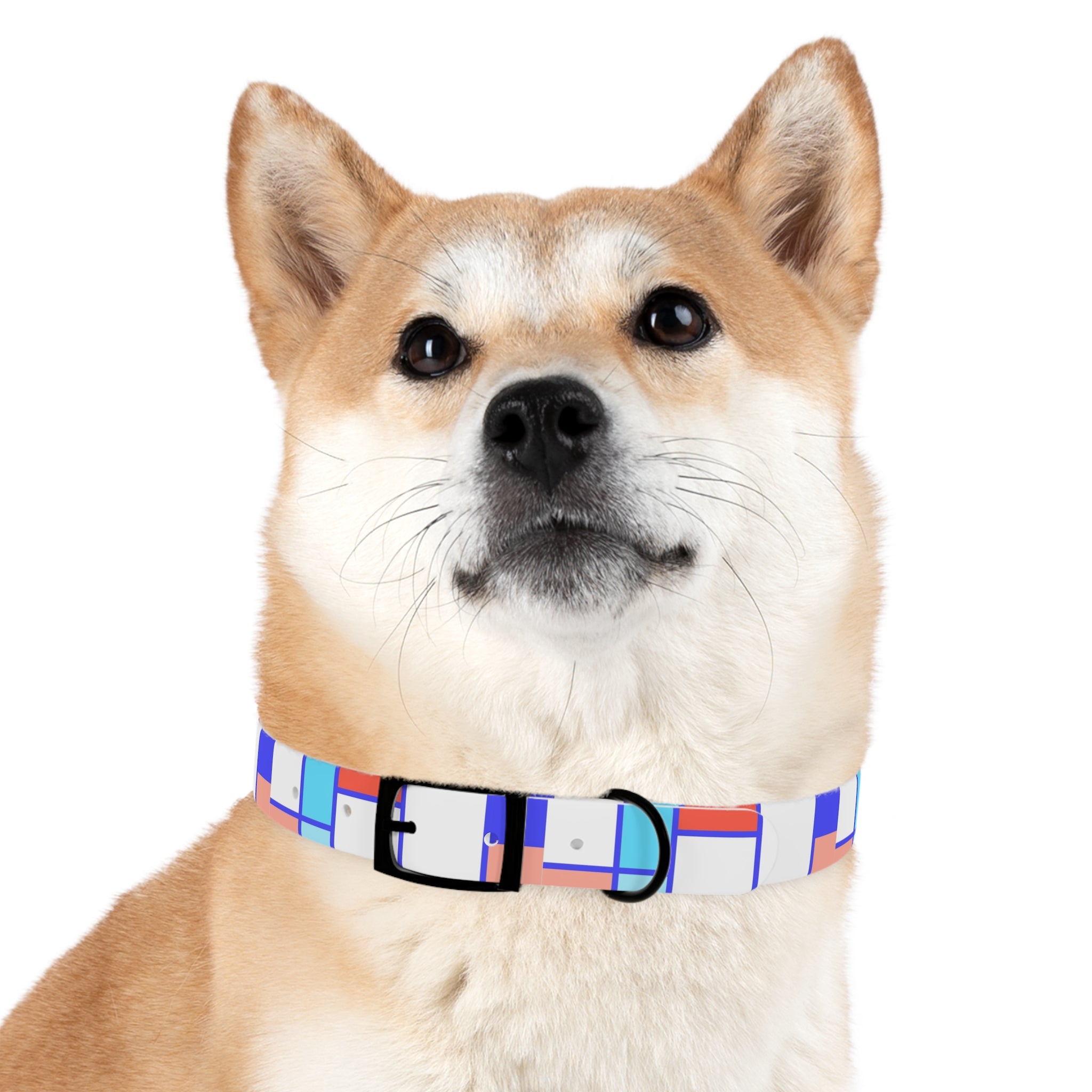 Dog Collar - Mosaic Collection