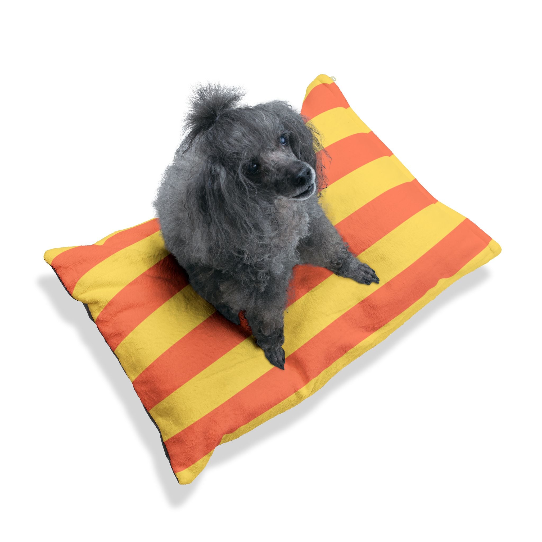 Pet Bed