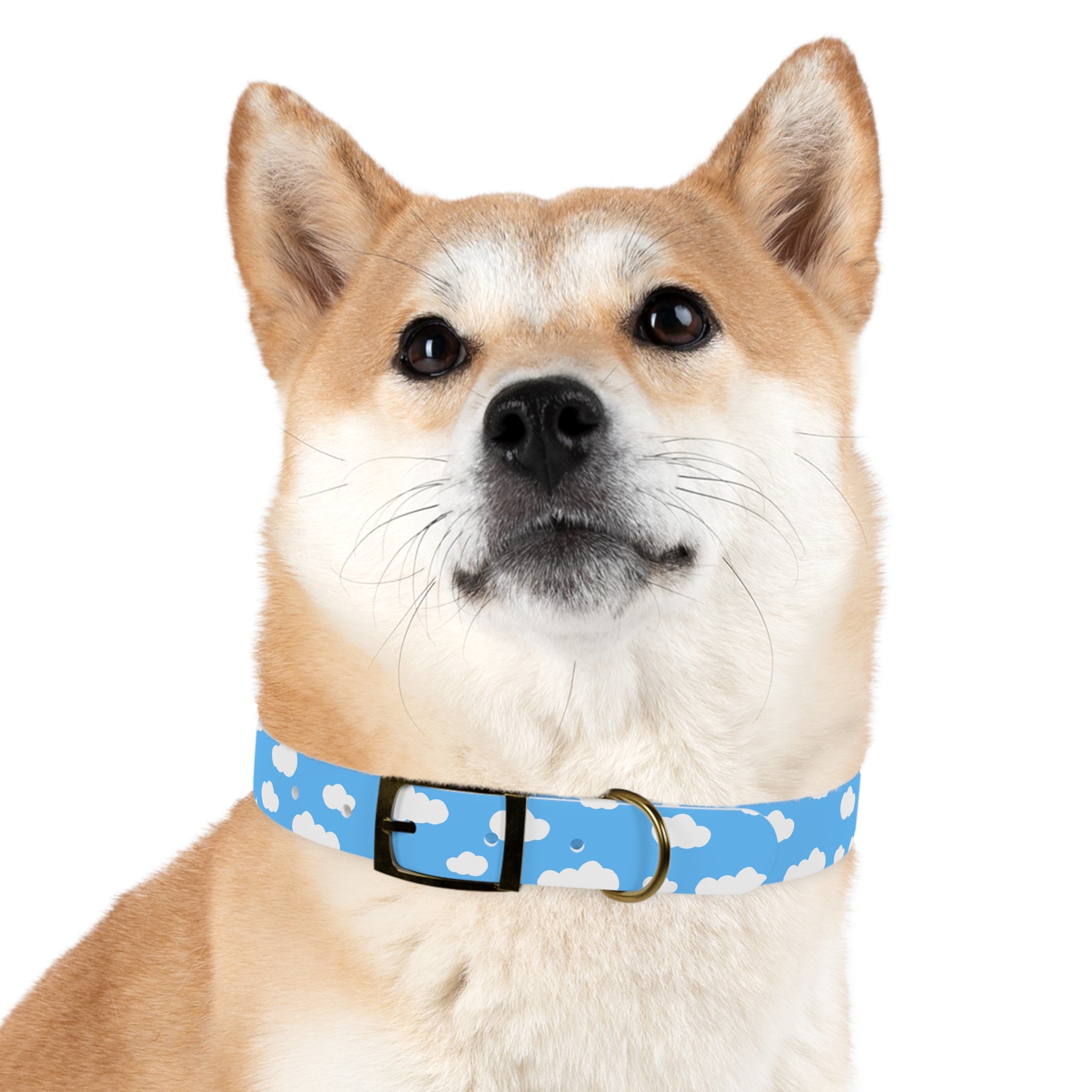 Cloud Dog Collar
