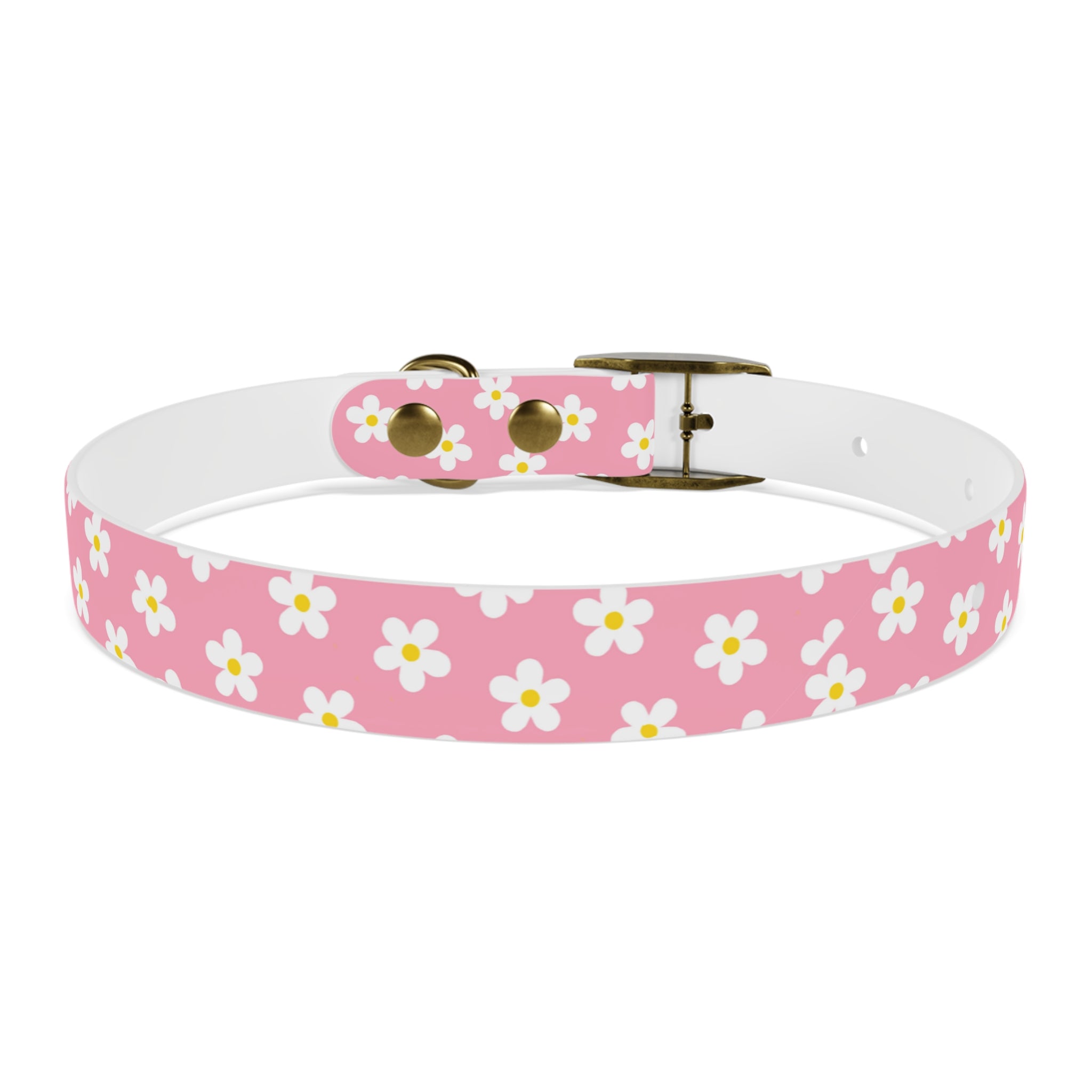 Dog Collar - Daisy Collection