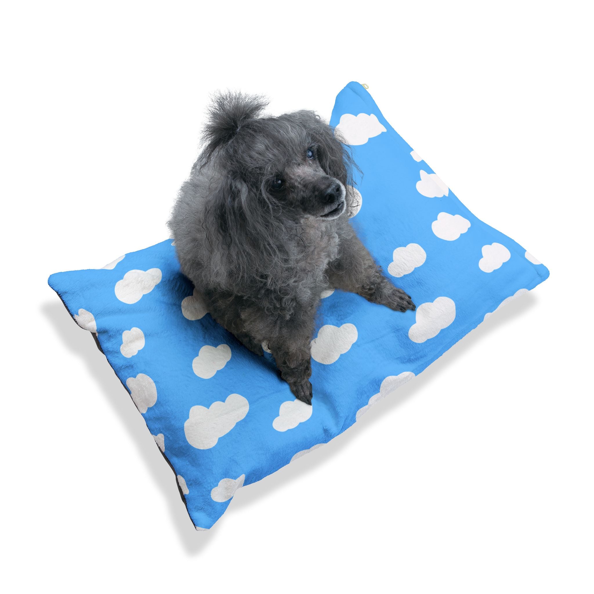 Pet Bed